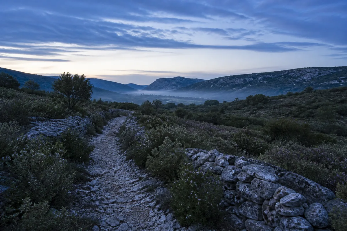 Garrigue de l Herault au crepuscule avec sentier de pierre seche